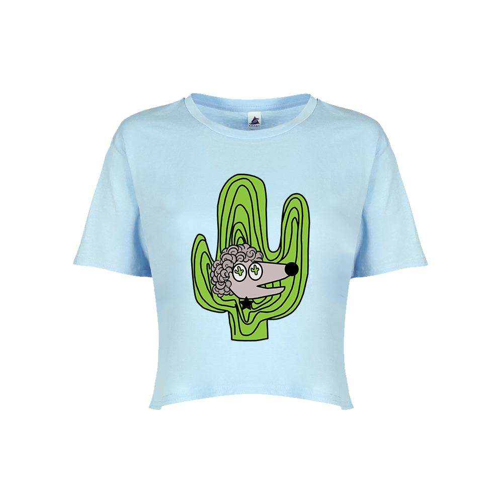 Saguaro Style