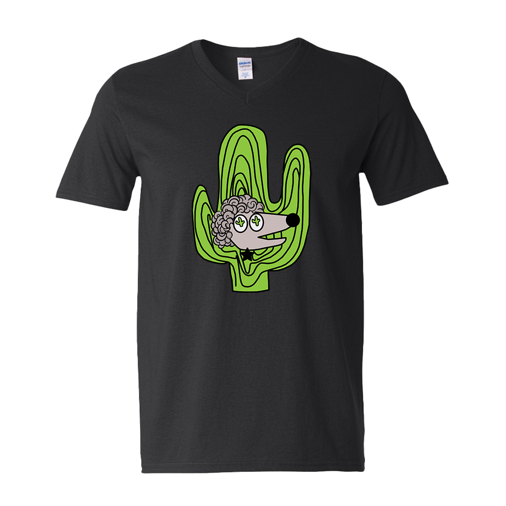 Saguaro Style