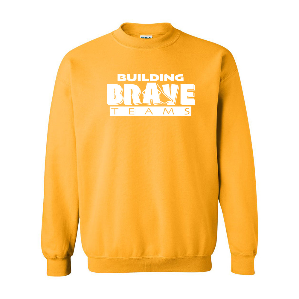 Building Brave Teams