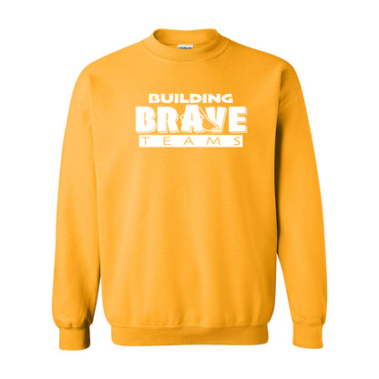 Building Brave Teams