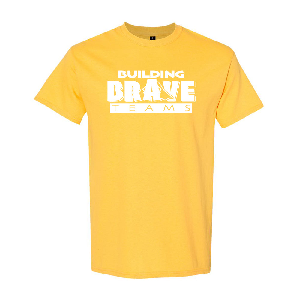 Building Brave Teams